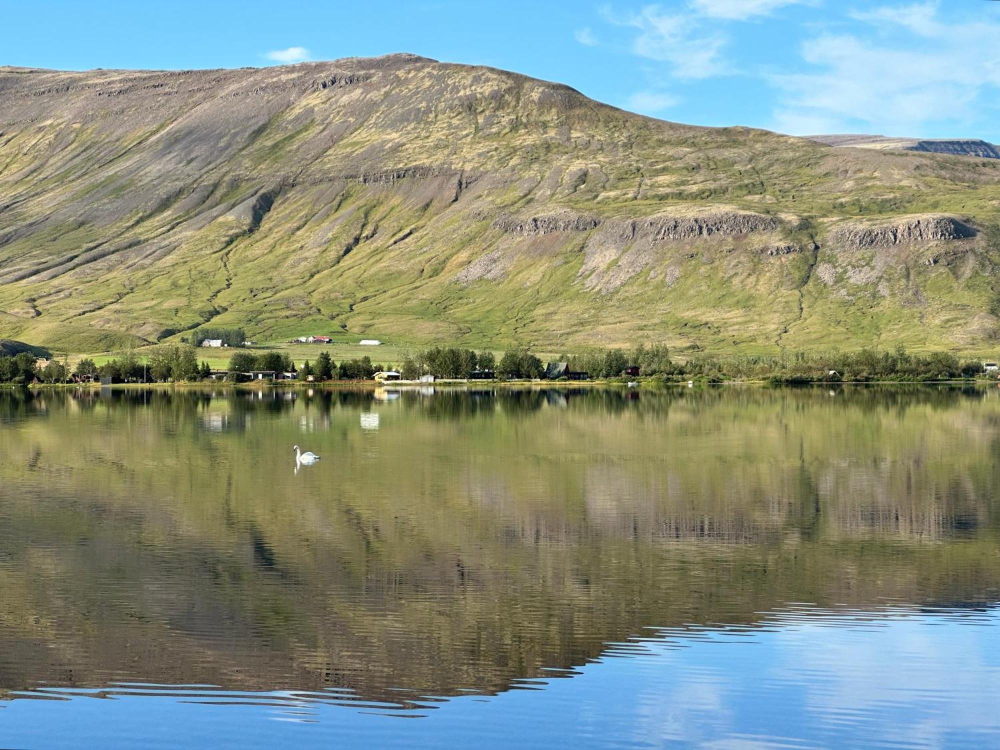 Cosy Lakeview Cabin 45 Minutes From Reykjavik Mosfellsbaer Buitenkant foto